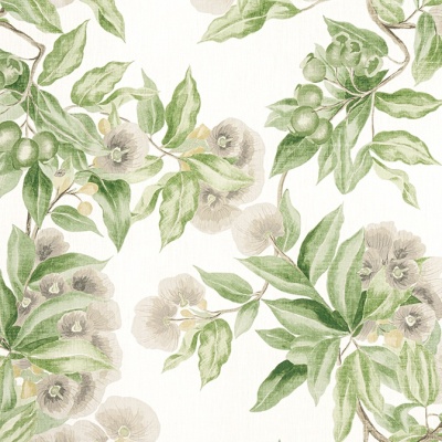 Anna French Camellia Garden Linen in Spring on White